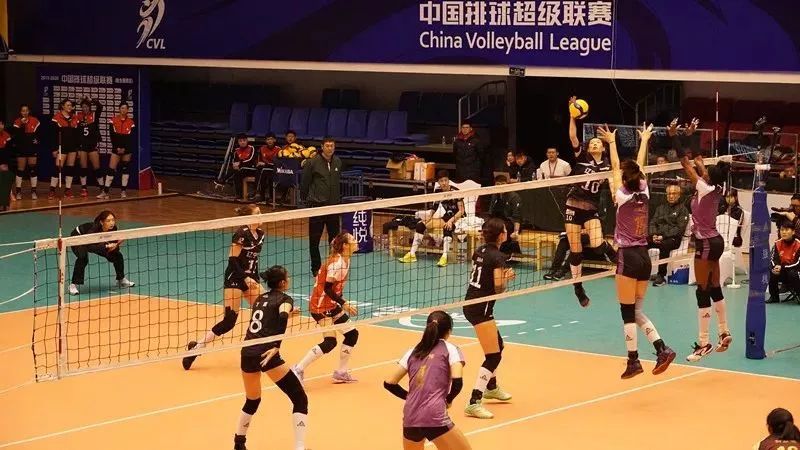 “津辽之战”掀起往事追忆！辽宁华君女排今晚主场战广东恒大！谁是四强？
