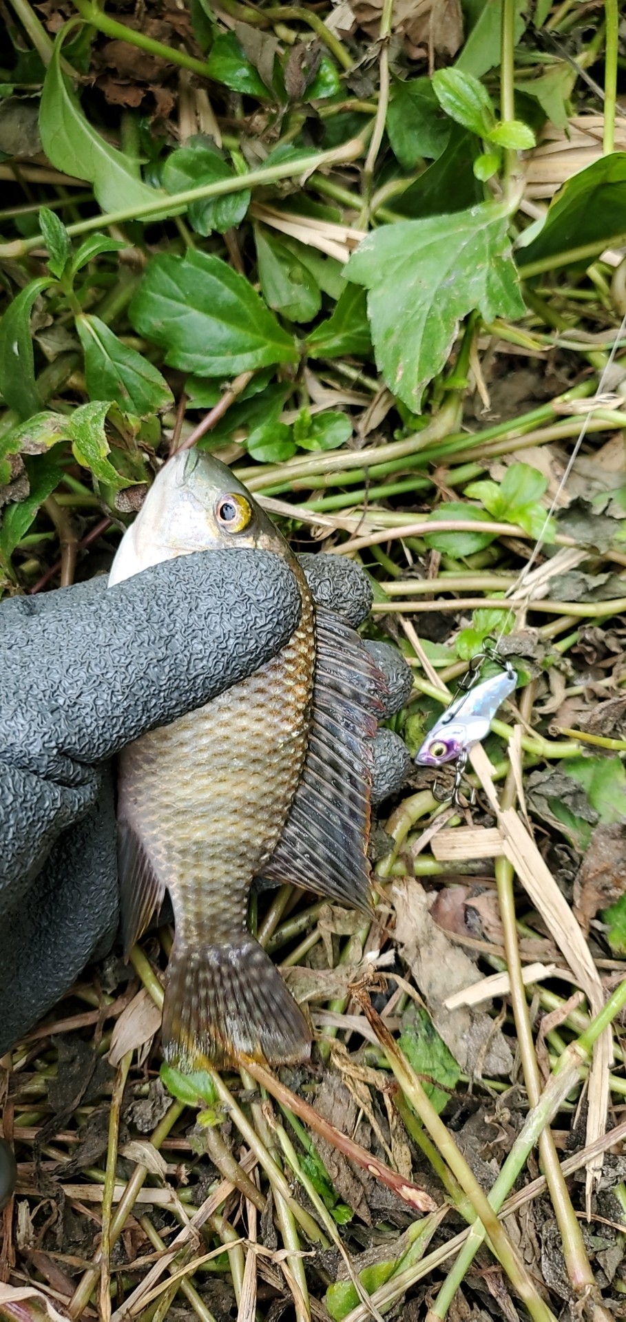 路亚打竿新手入门教程,新手路亚打翘嘴视频教程