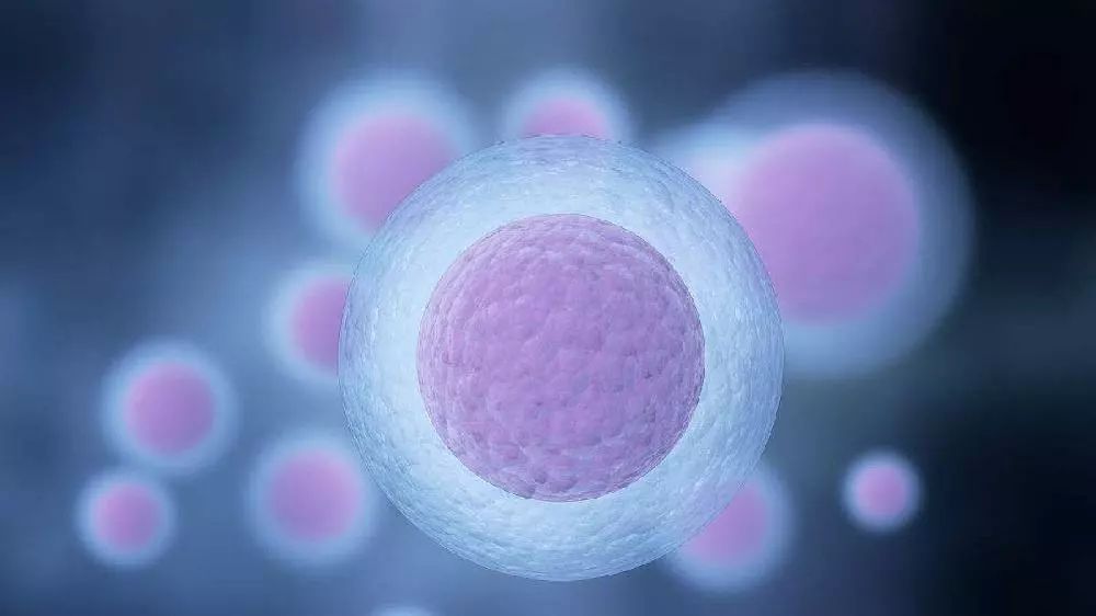 月经过少的秘密，您知道吗？