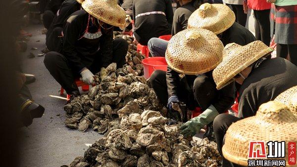 宝安区第十一届沙井金蚝节,2015年深圳沙井金蚝节