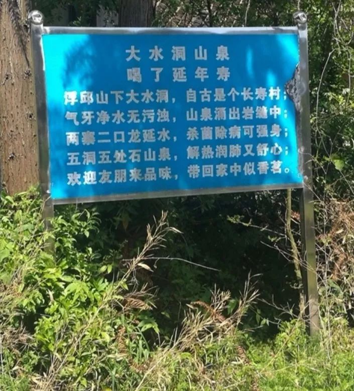 灏侀潰鏂伴椈婀栧崡鐩婇槼鍗楀幙,灏侀潰鏂伴椈鐩婇槼