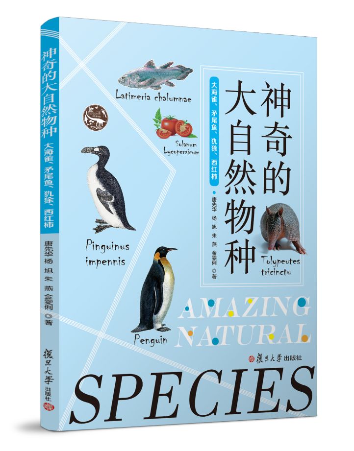 世界杯吉祥物福来哥超轻粘土,巴西世界杯吉祥物