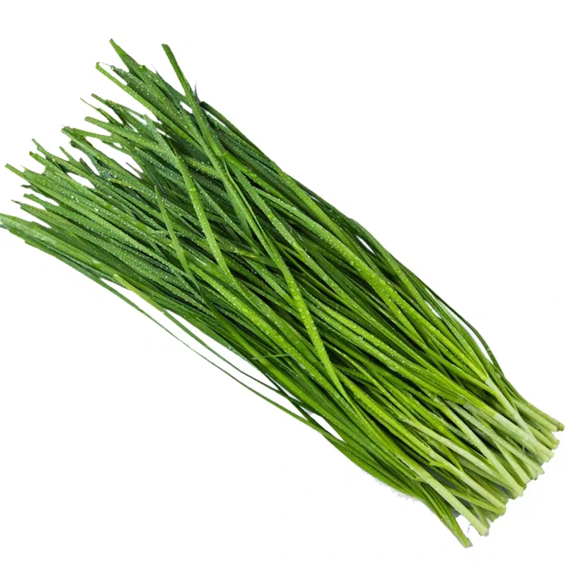 什么蔬菜肠胃蠕动得快,促进肠胃蠕动的蔬菜有哪些