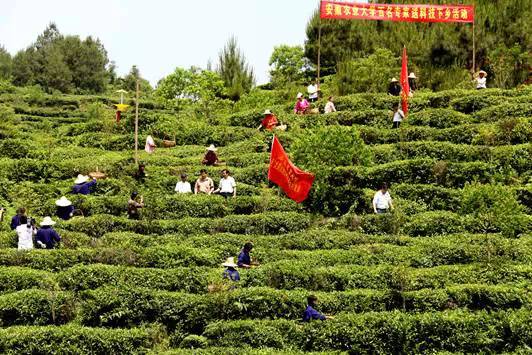 合肥安农大蜀山区,合肥安农大老校区地址