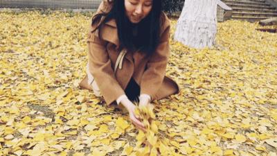 走进安徽大学校园,走进安徽大学