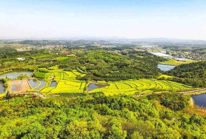 南京小众村庄,南京最低调又好玩的地方