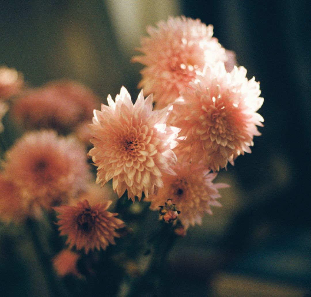 生活中不要怨天尤人,职场急功近利的人