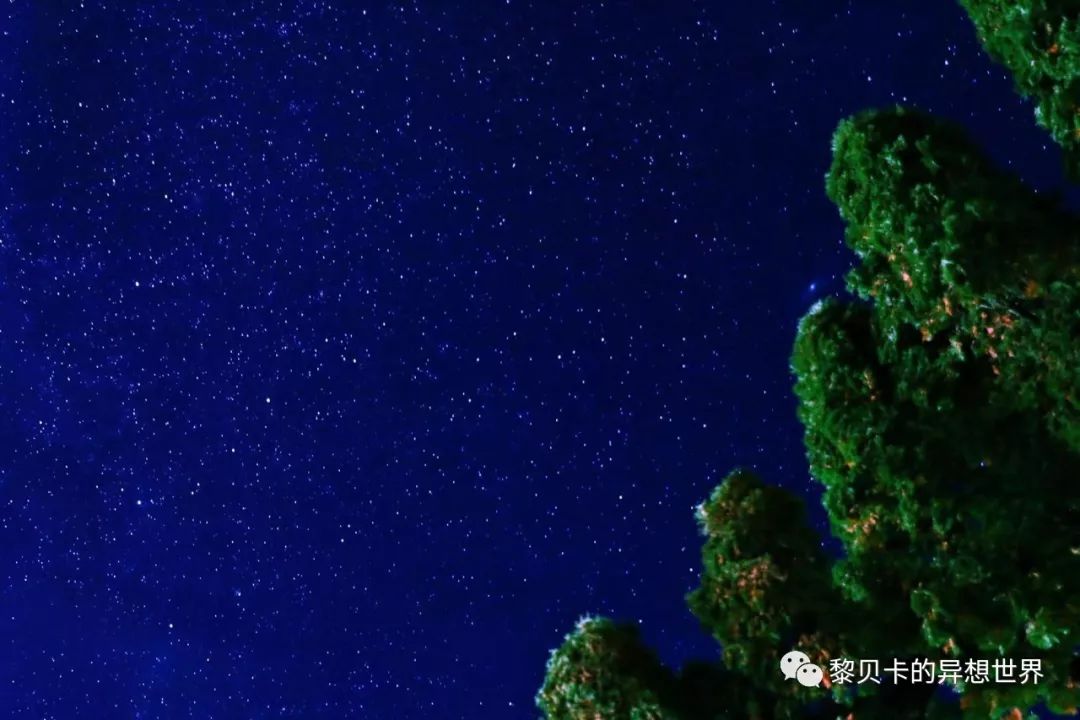 一年到头买了不少东西,总有一个越用越满意