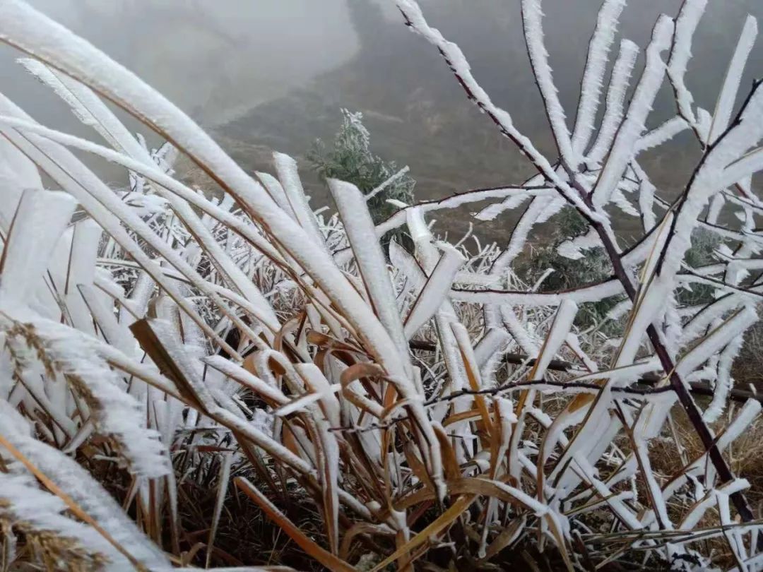 2020骞翠綑棰濆凡涓嶈冻,2019骞村凡浣欓涓嶈冻