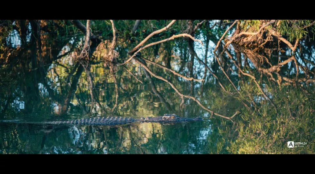 澳洲必去的几个地方,澳大利亚哪些景点值得去