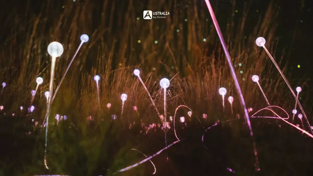 澳洲必去的几个地方,澳大利亚哪些景点值得去