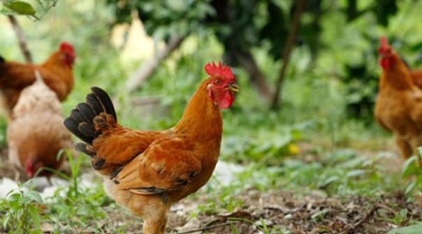 “贴地”发力！滨海多渠道支持就业创业，激活“归雁经济”