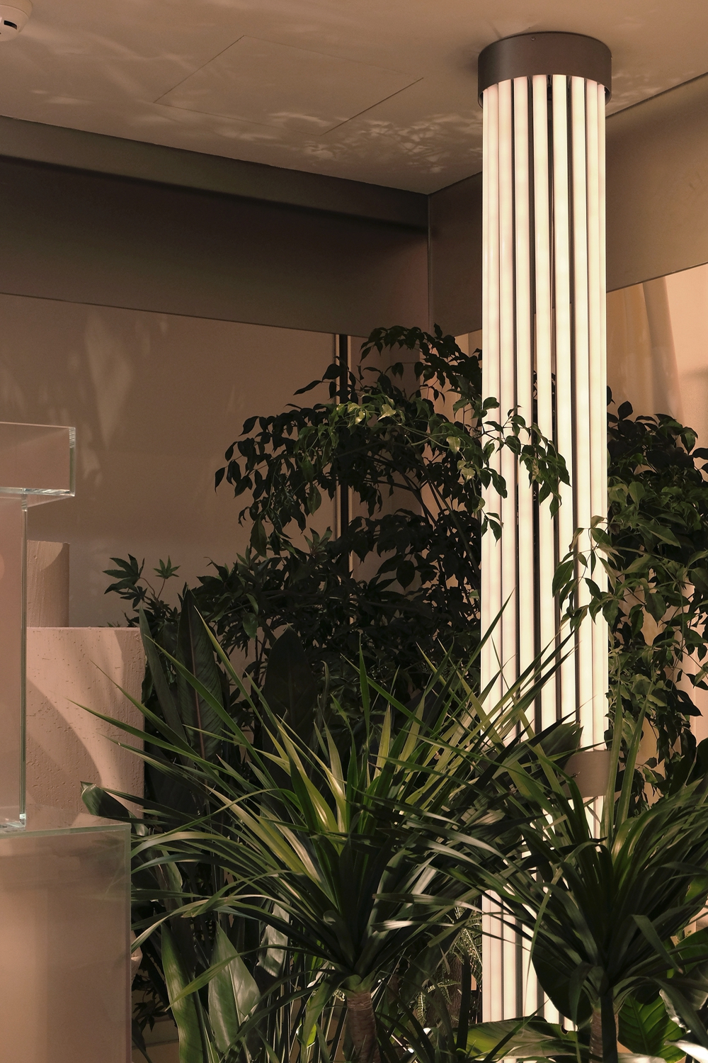 sstudio鐢滃搧,sstudio鍘熷垱璁捐