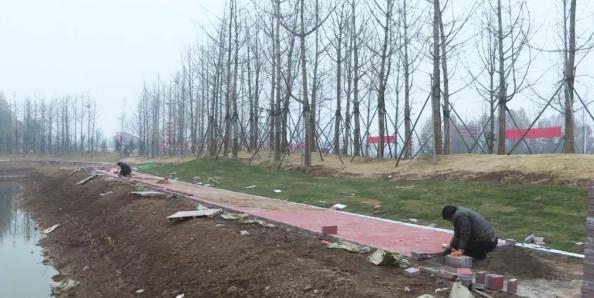 鏅绌胯秺,娌佸洯鏅