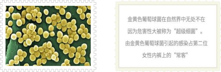 守护健康从消毒开始,守护用药安全从点滴做起