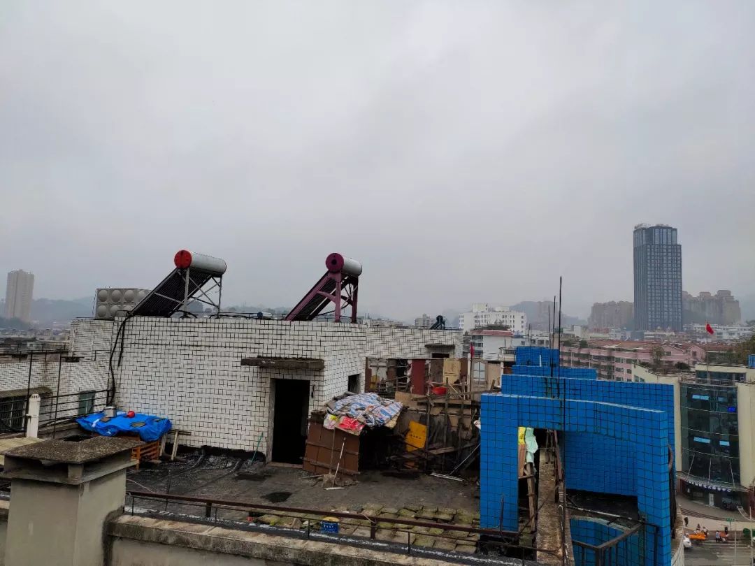 网络问政|小区屋顶建场养烈性犬，乌当区创新派出所：限7日内处理