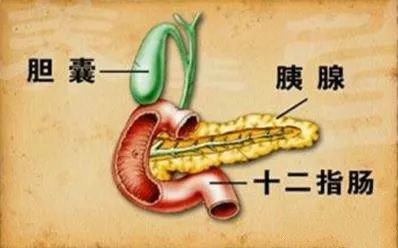 健康科普肿瘤是癌症吗,健康科普你真的了解胰腺炎吗