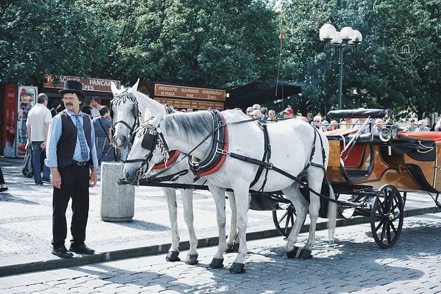 缘分在布拉格｜回忆留给布达佩斯吧