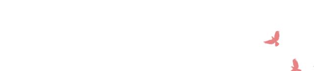 2017年小学学校师德师风工作,小学教师师德师风专题研讨