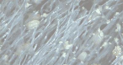 极度舒适!搓泥+起泡,效果赛过100个搓澡大妈!感觉人生到达了高潮