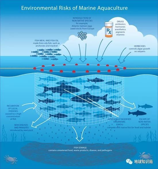 沿海人民是如何喂饱中国的？