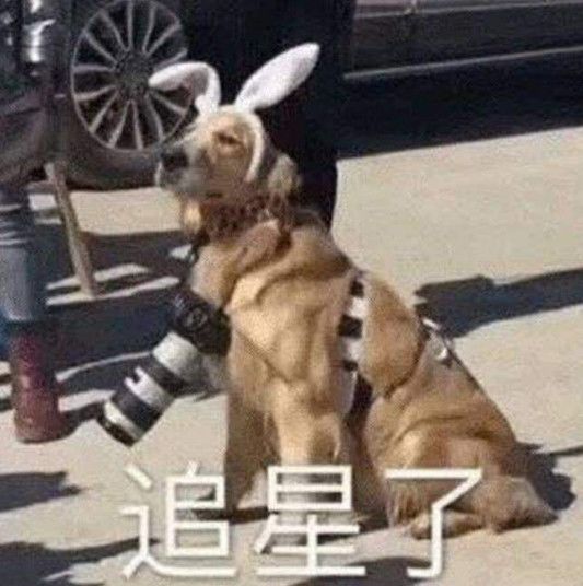 趣读丨手抄一整本歌词，是90后童年最虔诚的追星方式