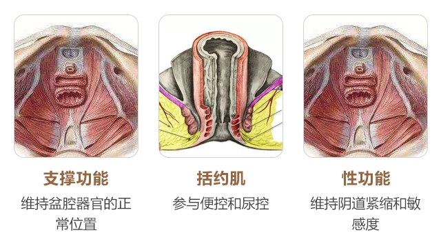 合肥丹凤朝阳产后恢复会所,合肥丹凤朝阳妇产医院好不好