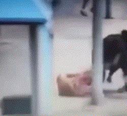 第一次结婚累不累,第一次结婚心里好激动