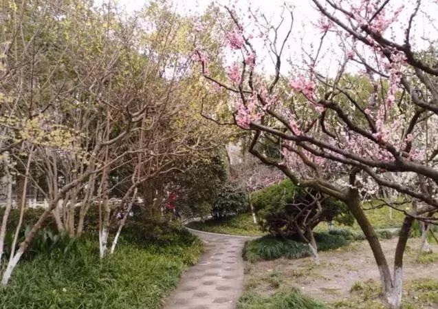 所有人的记忆都停留在了2019年,所有人你的2019年度总结请查收