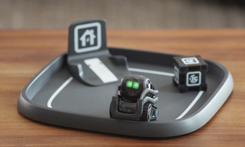 2017被杀害的人,2019年被杀死的动物有多少