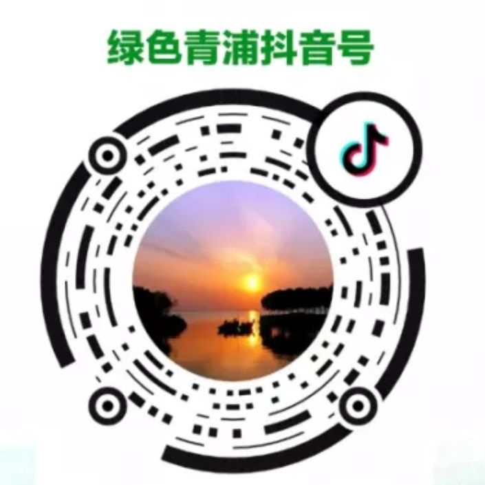 体育局工作思路,体育局社会实践计划