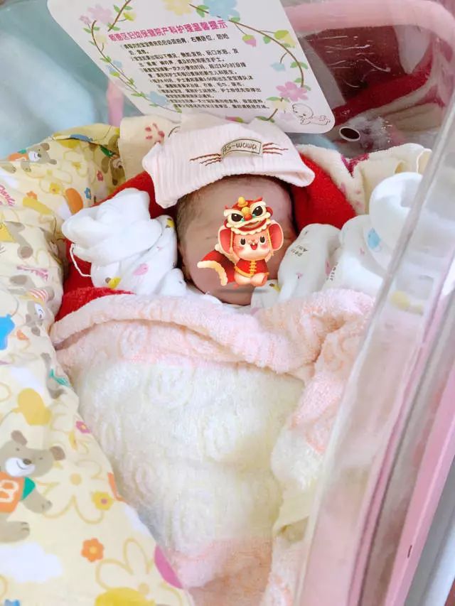 佛山妇幼保健院新城院区科室介绍,佛山妇幼保健院几点开诊