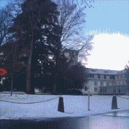 赵文卓女儿在英国上的高中,赵文卓女儿上的是职业学校吗