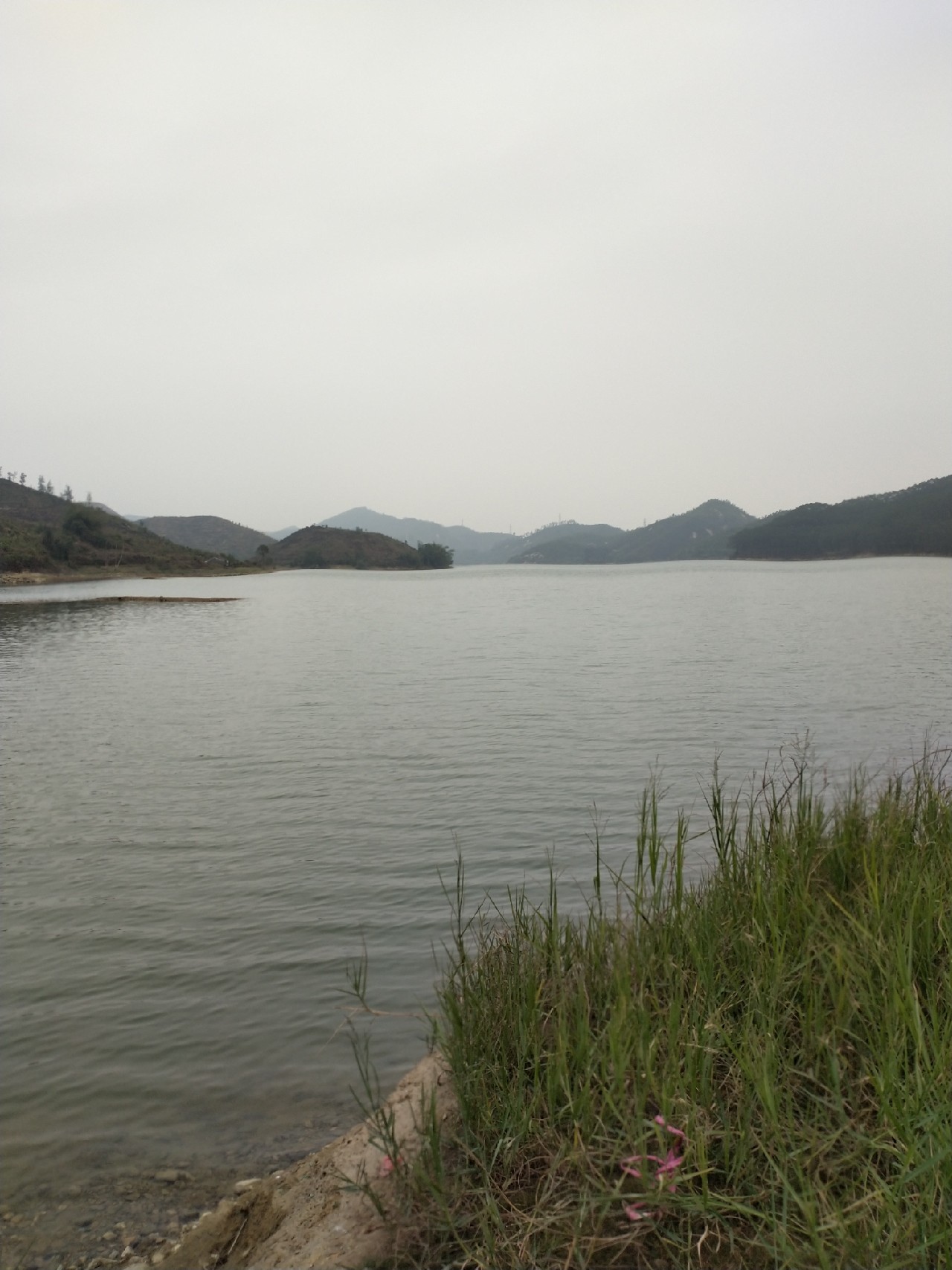 野钓水库位置真的很关键,野钓水库最佳位置图