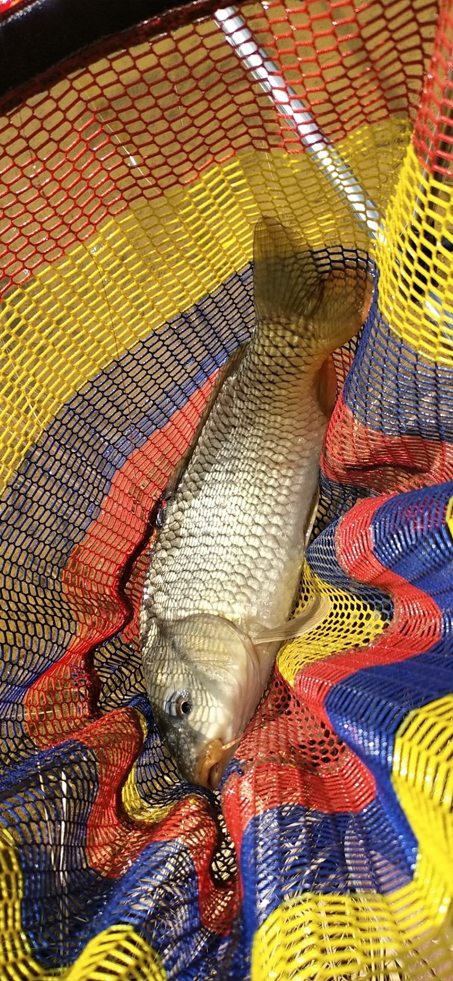 野钓水库位置真的很关键,野钓水库最佳位置图