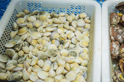 20道鲍鱼菜肴,12道火爆鲍鱼菜单及价格