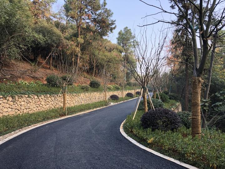 上山游步道不陡了，老小区里建口袋公园，余杭用这些行动，点靓生活中的小确幸