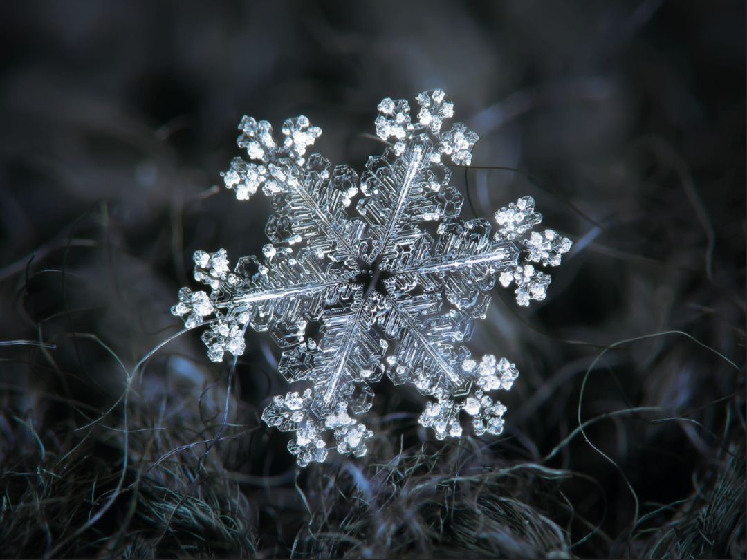 感受冬日的浪漫与唯美,冬日浪漫素材