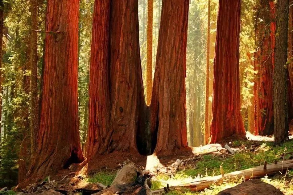 旅游必看的十部电影,旅游电影十大巅峰之作