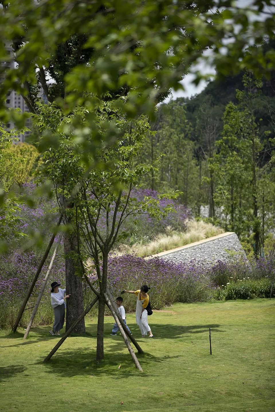 西秀区武当路虹山湖市民公园,安顺虹山湖市民公园