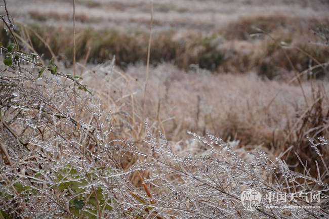 三九是一年中最冷的时候,三九是最冷的日子吗