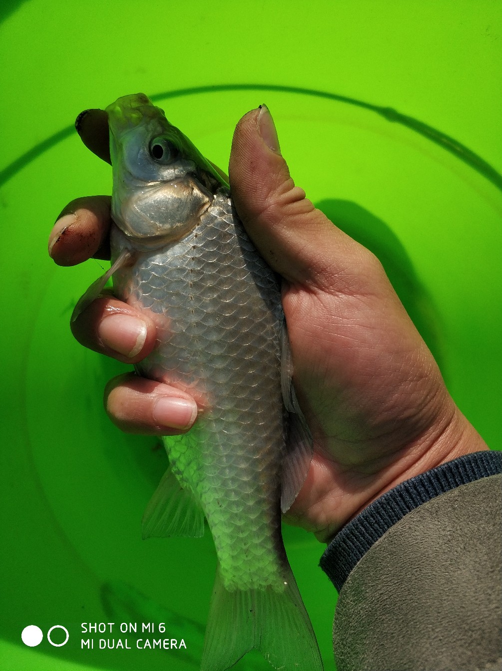 不懂钓鱼的人开渔具店,多少钓友才适合开渔具店