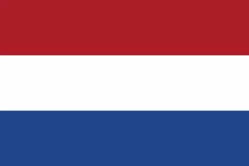 新年flag你们立好了吗,新年立个不倒的flag