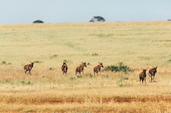 2023年去南非安全吗,国内怎么去南非最划算