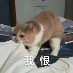 鎴戠寽浣犱篃浼氬枩娆㈣繖鏍风殑闆堕鏂囨,鎴戠寽浣犱篃鍠滄