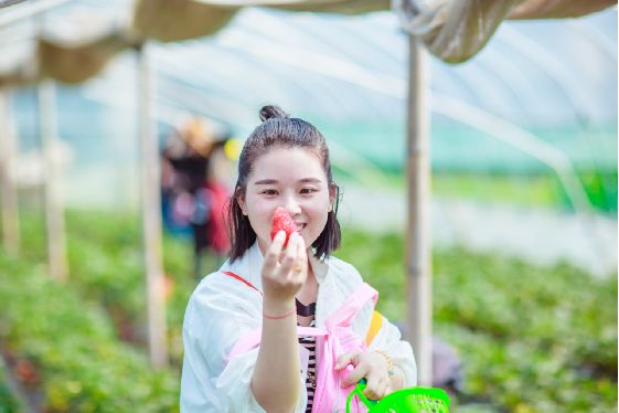 奉化旅游春节,五一奉化旅游攻略