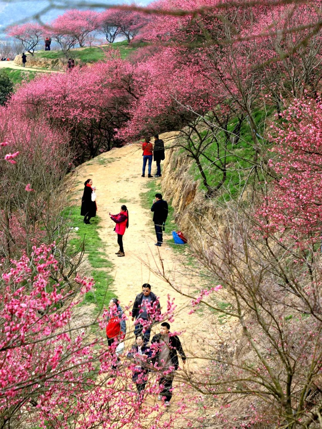 奉化旅游春节,五一奉化旅游攻略