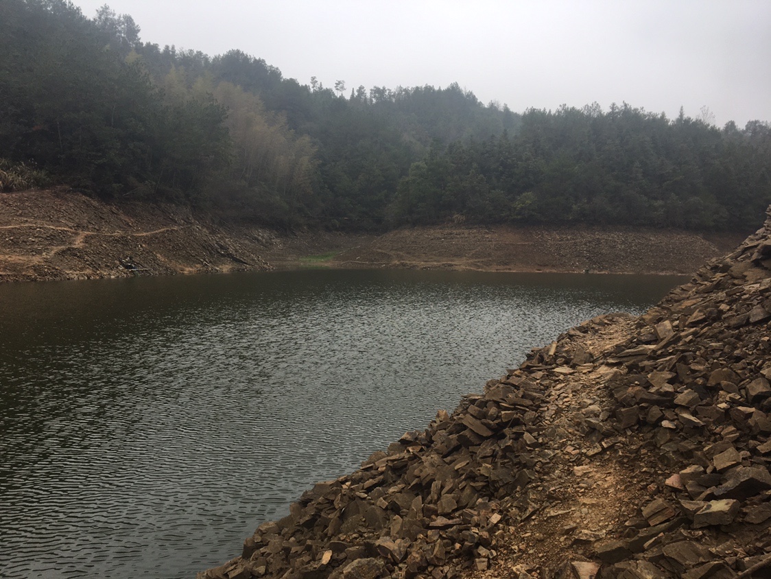夏季小杂鱼闹窝怎么钓大板鲫,冬钓大板鲫如何避开小鱼