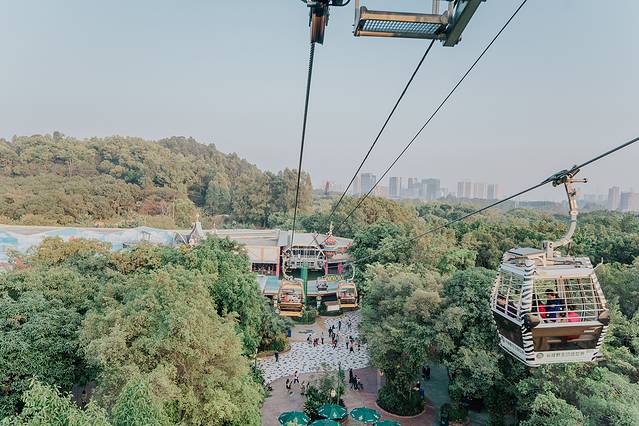 广州长隆野生动物世界旅游攻略,暖冬长隆3天2晚