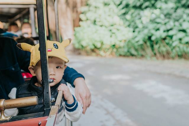 广州长隆野生动物世界旅游攻略,暖冬长隆3天2晚